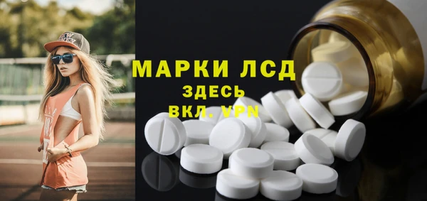 спайс Алзамай