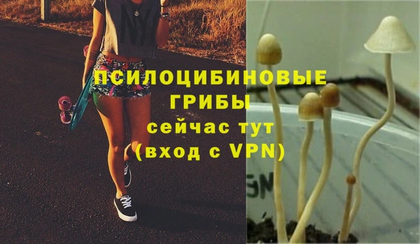 ПСИЛОЦИБИНОВЫЕ ГРИБЫ Алексин