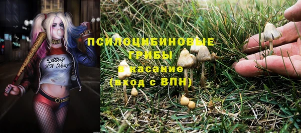 ПСИЛОЦИБИНОВЫЕ ГРИБЫ Алексин