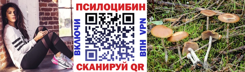 мега ТОР  Волгоград  Галлюциногенные грибы ЛСД 